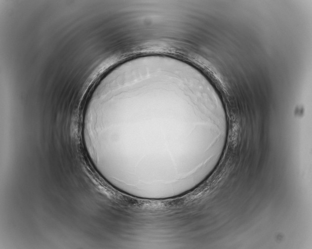 X0000099230882200805221834