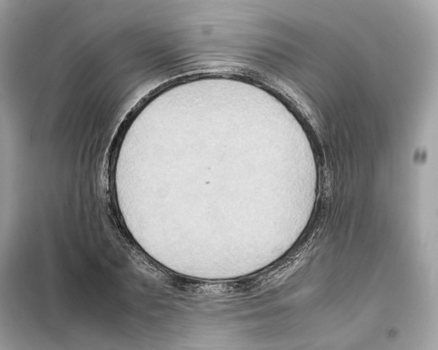 X0000099230883200805221834