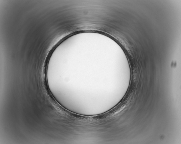 X0000099230885200805221834