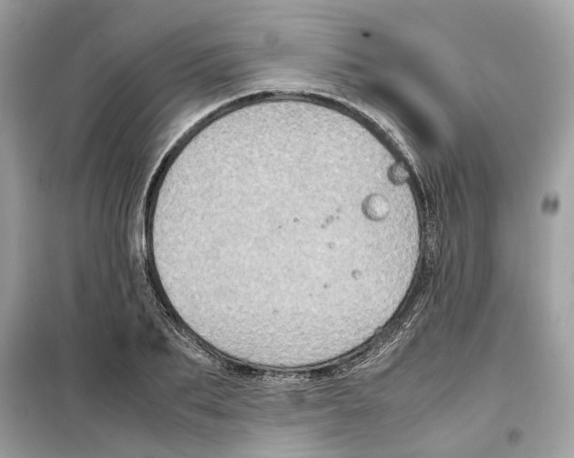 X0000099230887200805221834