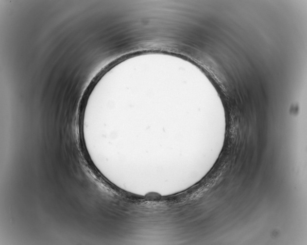 X0000099230888200805221834