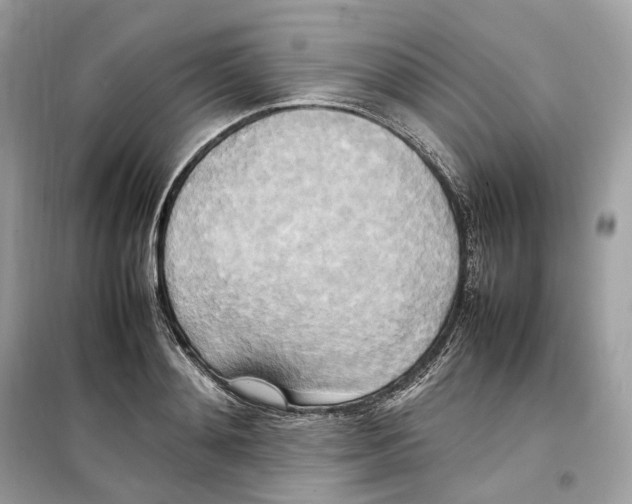 X0000099230892200805221834