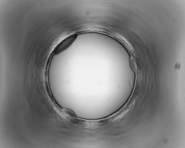 X0000099230893200805221834