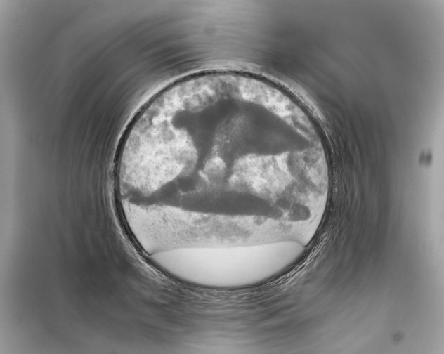 X0000099230895200805221834