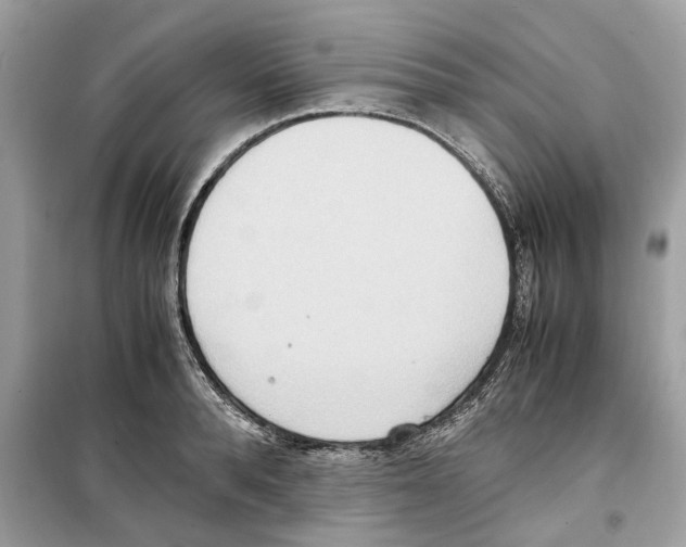 X0000099230896200805221834