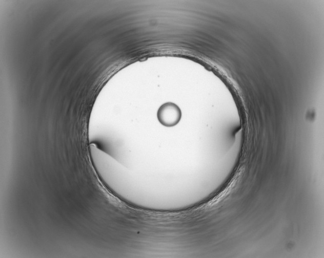 X0000099230897200805221834