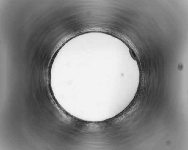 X0000099230898200805221834