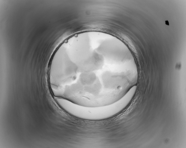 X0000099230899200805221834