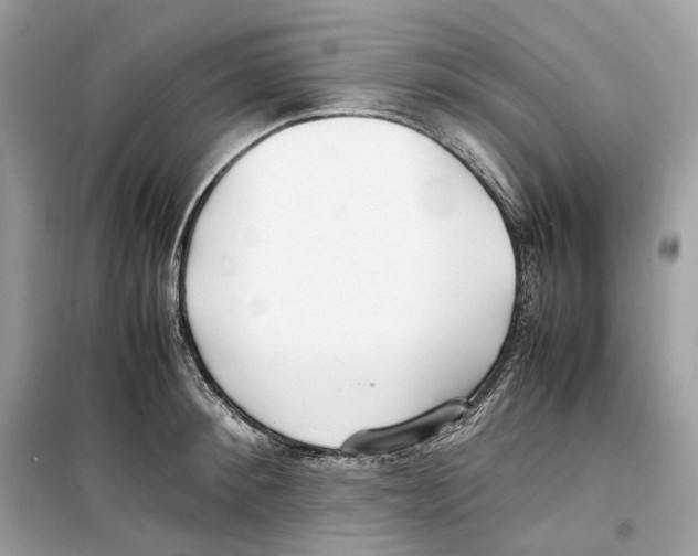 X0000099230900200805221834