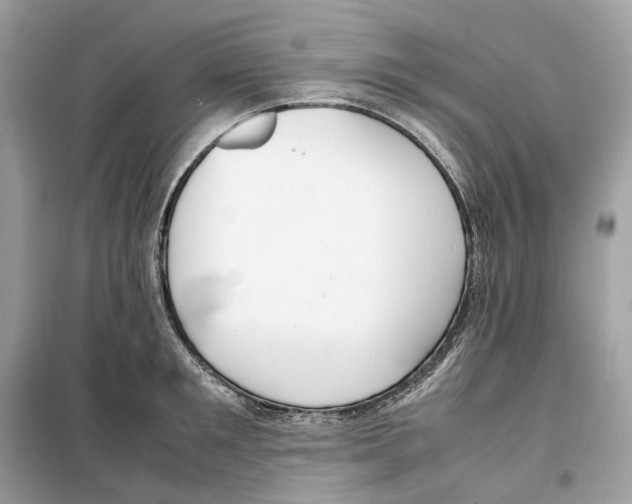 X0000099230901200805221834