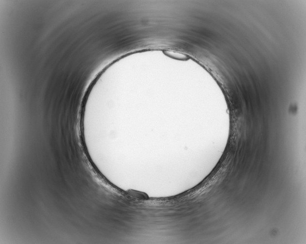 X0000099230904200805221834