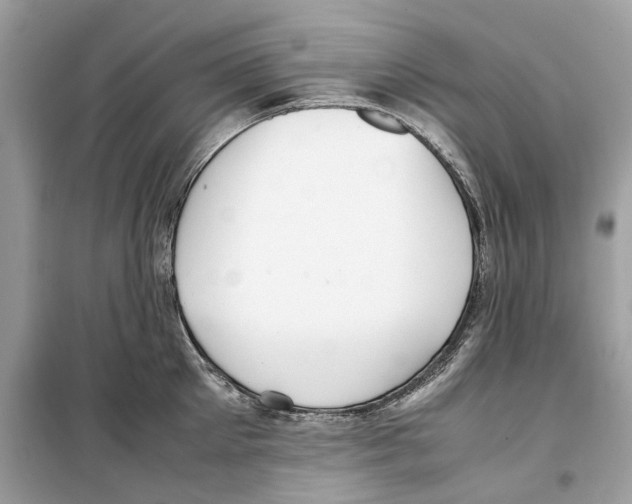 X0000099230905200805221834