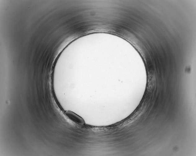 X0000099230906200805221833