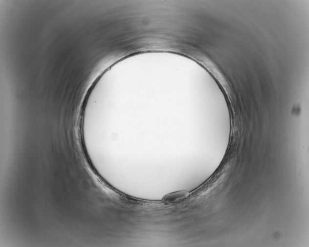 X0000099230909200805221833