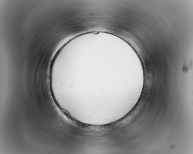 X0000099230910200805221833