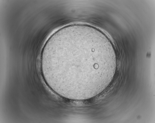 X0000099230911200805221833