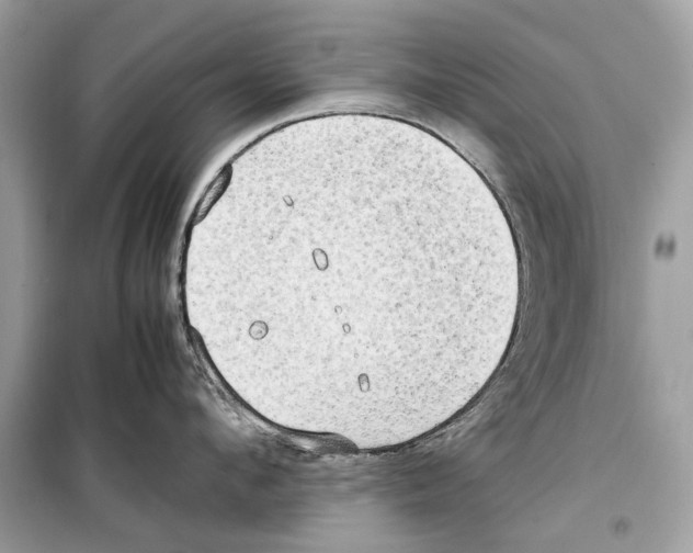 X0000099230912200805221833