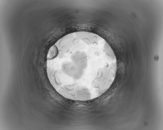 X0000099230913200805221833