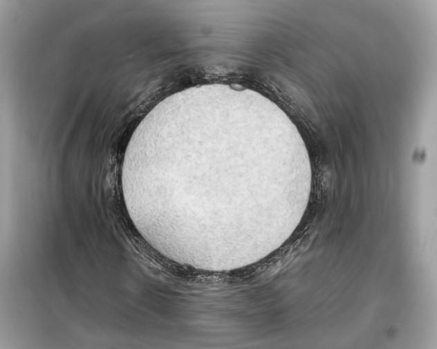 X0000099230914200805221833