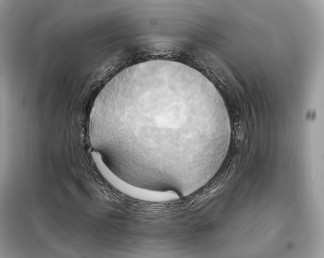 X0000099230916200805221833