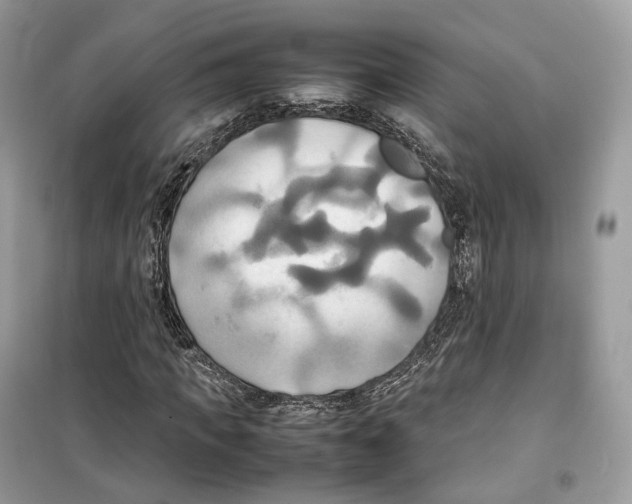 X0000099230917200805221833