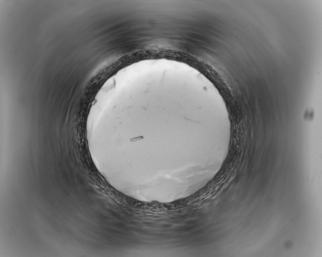 X0000099230919200805221833