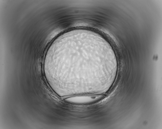 X0000099230921200805221833