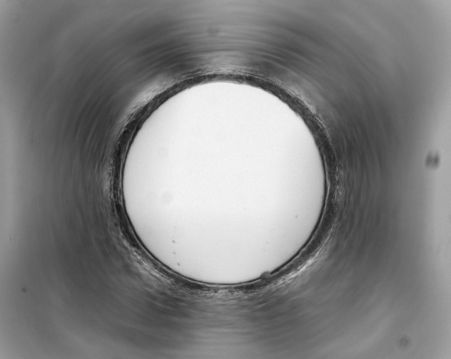 X0000099230922200805221833