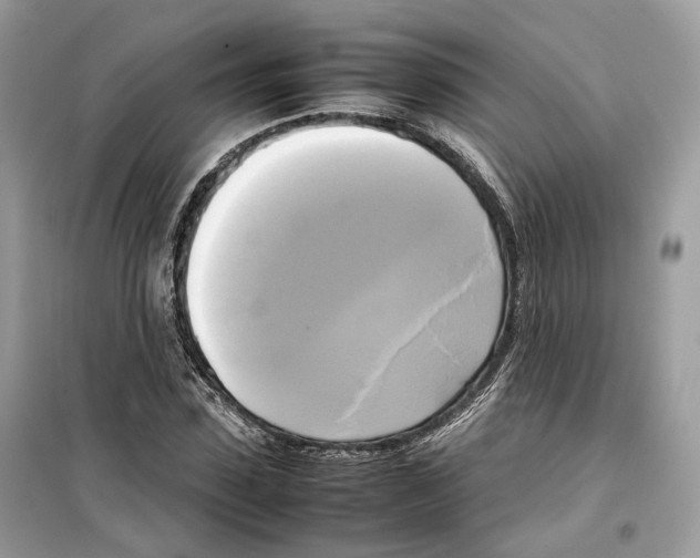 X0000099230923200805221833