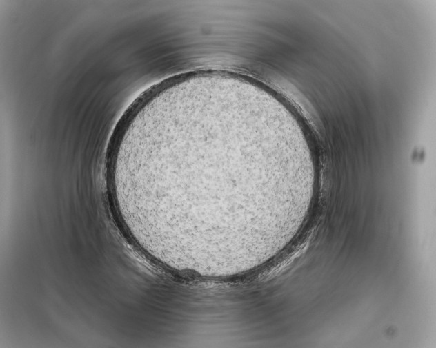 X0000099230924200805221833