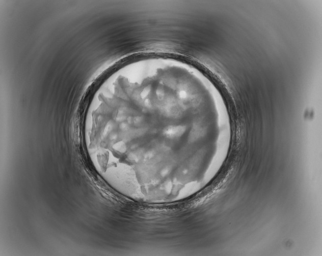 X0000099230925200805221833