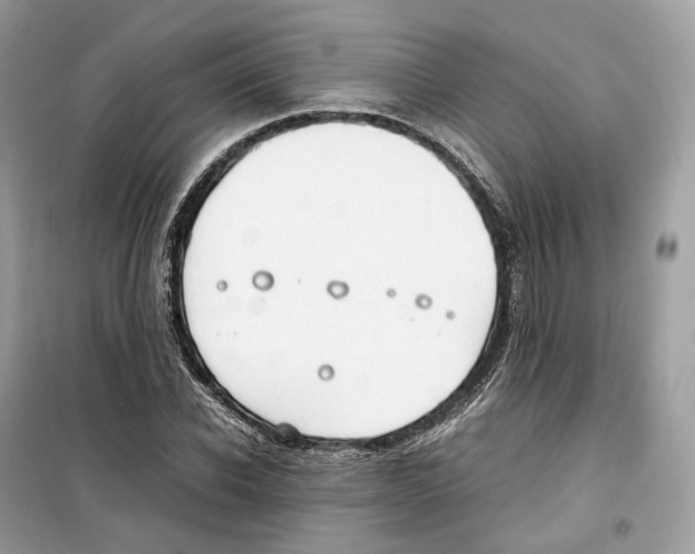 X0000099230926200805221833