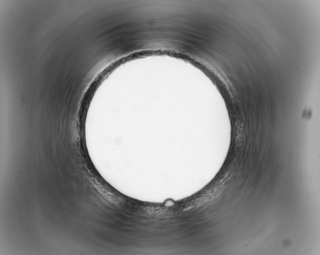 X0000099230927200805221833