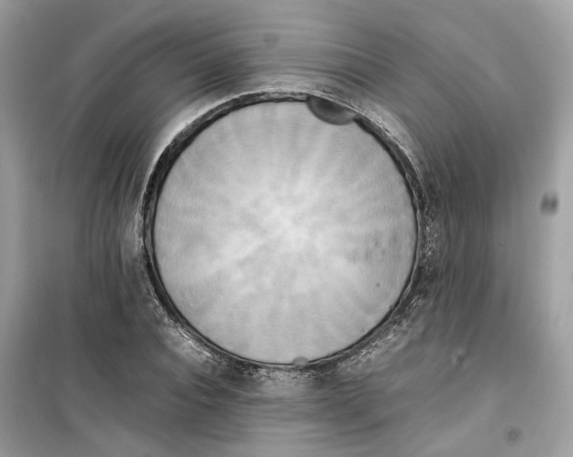 X0000099230928200805221833