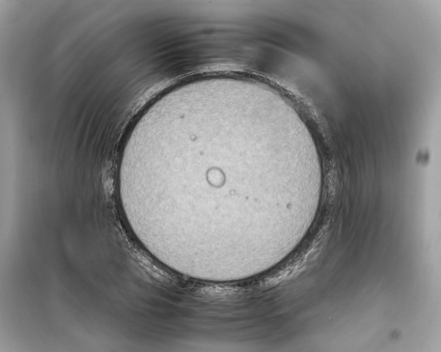 X0000099230929200805221833