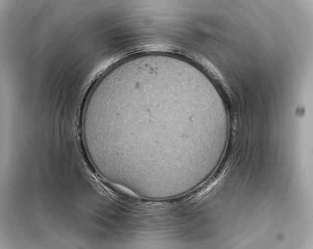 X0000099230930200805221833