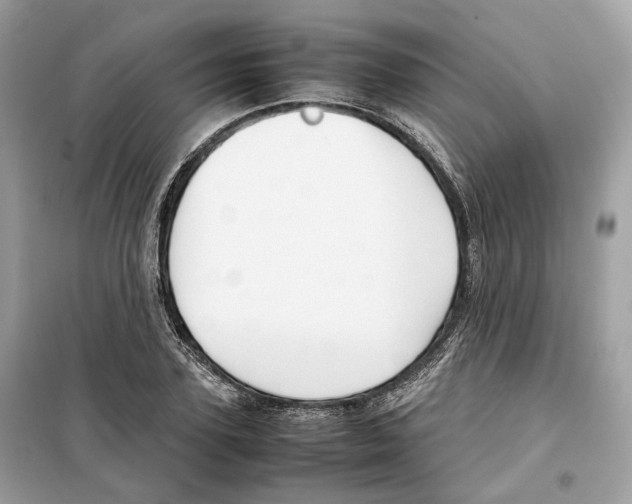 X0000099230931200805221833