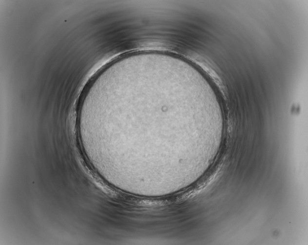 X0000099230933200805221833