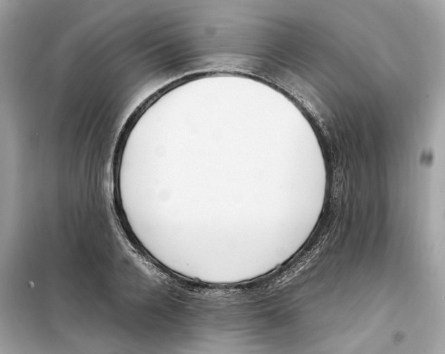 X0000099230936200805221833