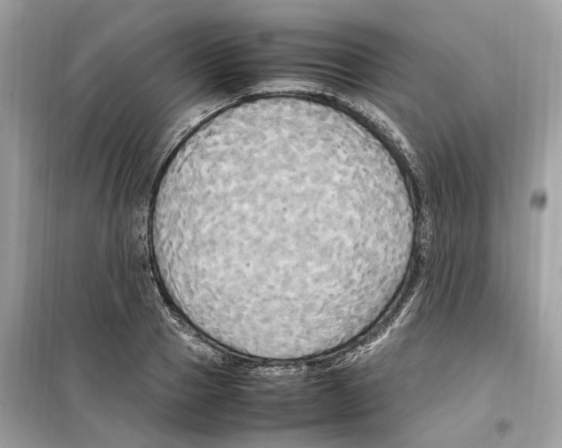 X0000099230937200805221833