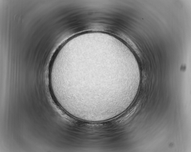 X0000099230939200805221833