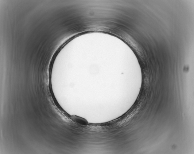 X0000099230940200805221833