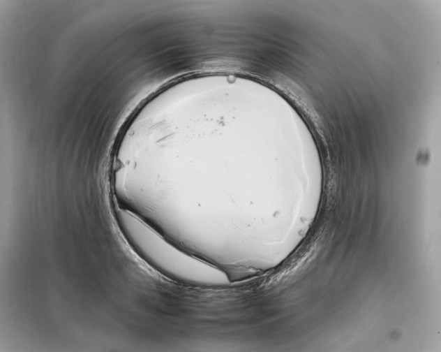 X0000099230941200805221833