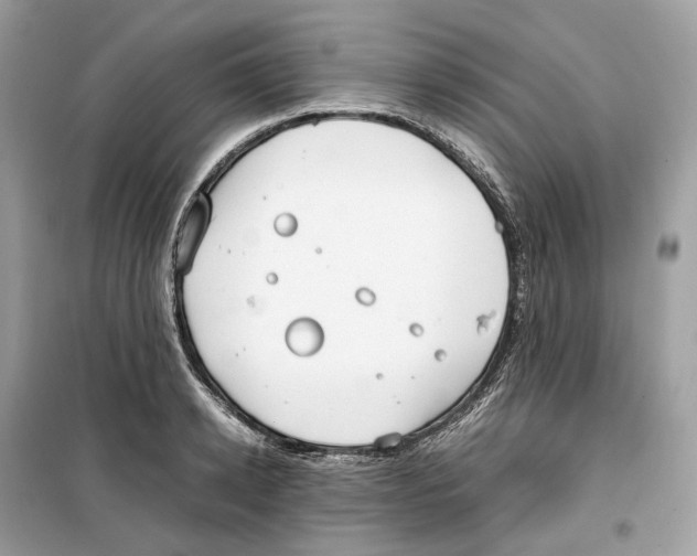 X0000099230942200805221833