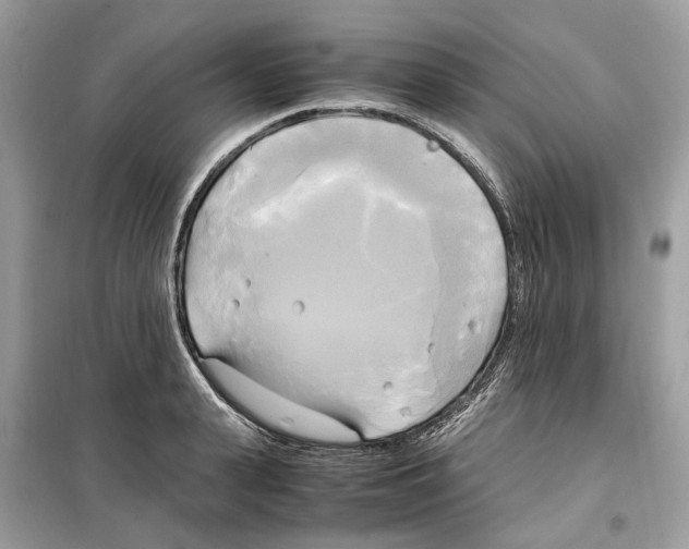 X0000099230943200805221833