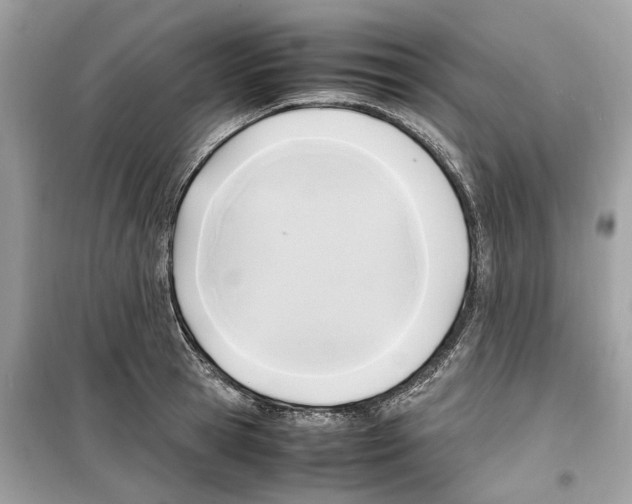 X0000099230945200805221833