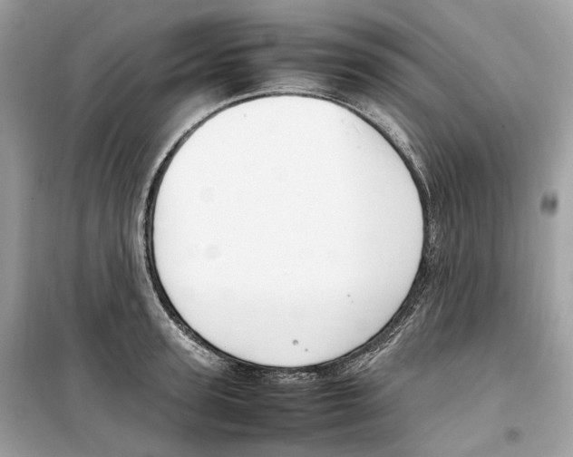 X0000099230947200805221833