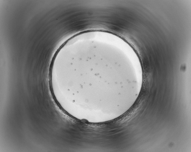 X0000099230951200805221833
