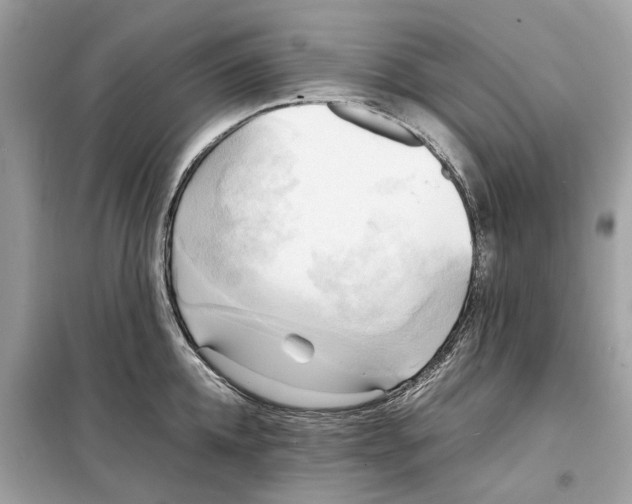 X0000099230952200805221833