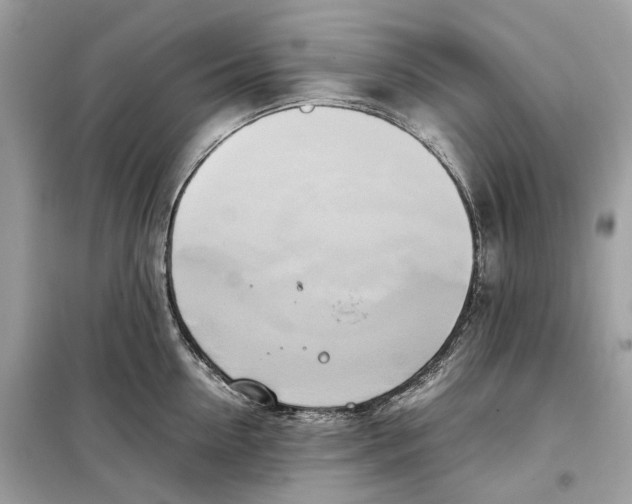 X0000099230954200805221833